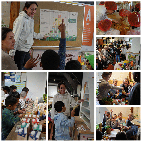 Kinder lernen beim Bauernhof, Collage 1