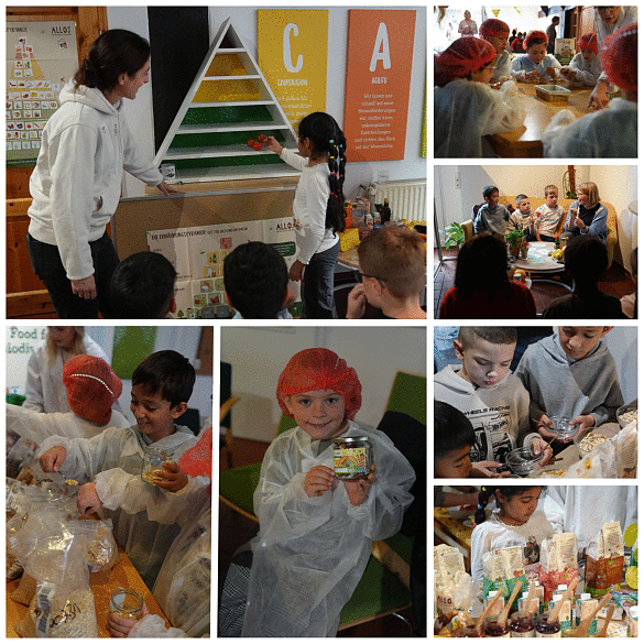 Kinder lernen beim Bauernhof, Collage 2