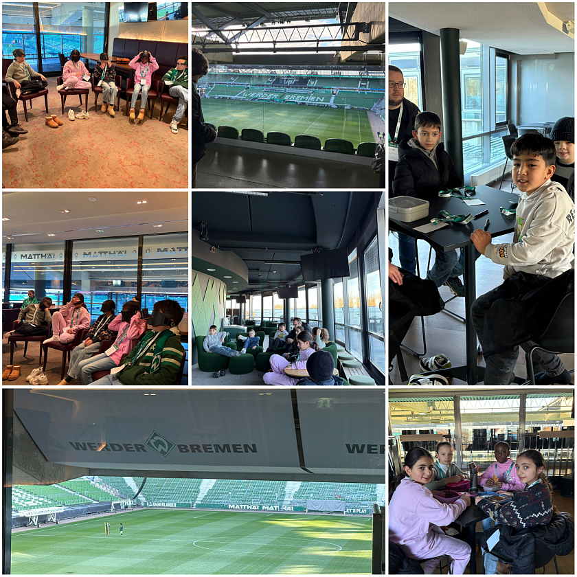 Collage Stadion 1