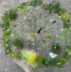 Naturmandala 4