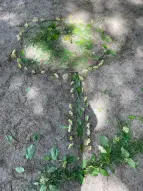Naturmandala 5
