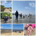 Nordsee