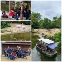 Zoo